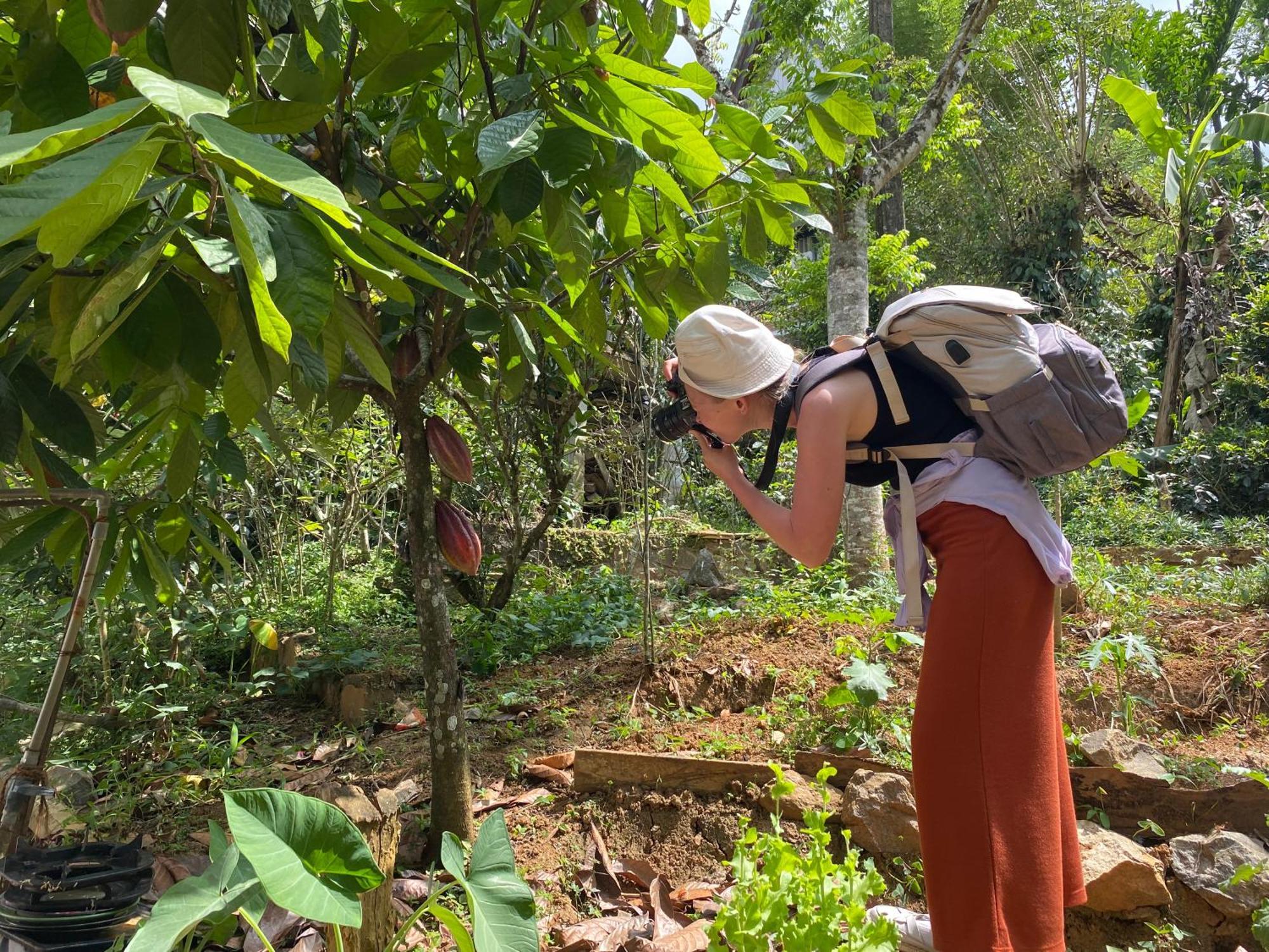 فندق Ella Nine Arch Spice Garden المظهر الخارجي الصورة