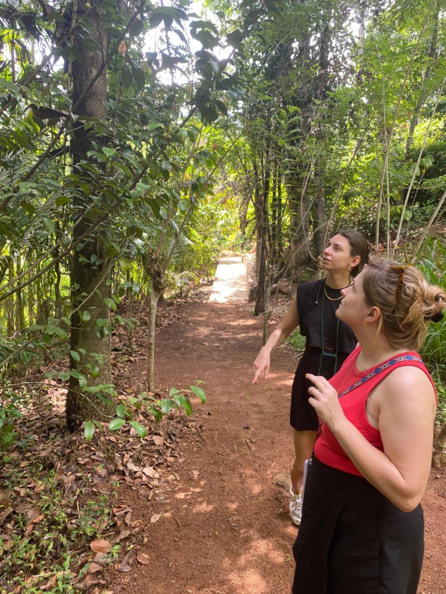 فندق Ella Nine Arch Spice Garden المظهر الخارجي الصورة
