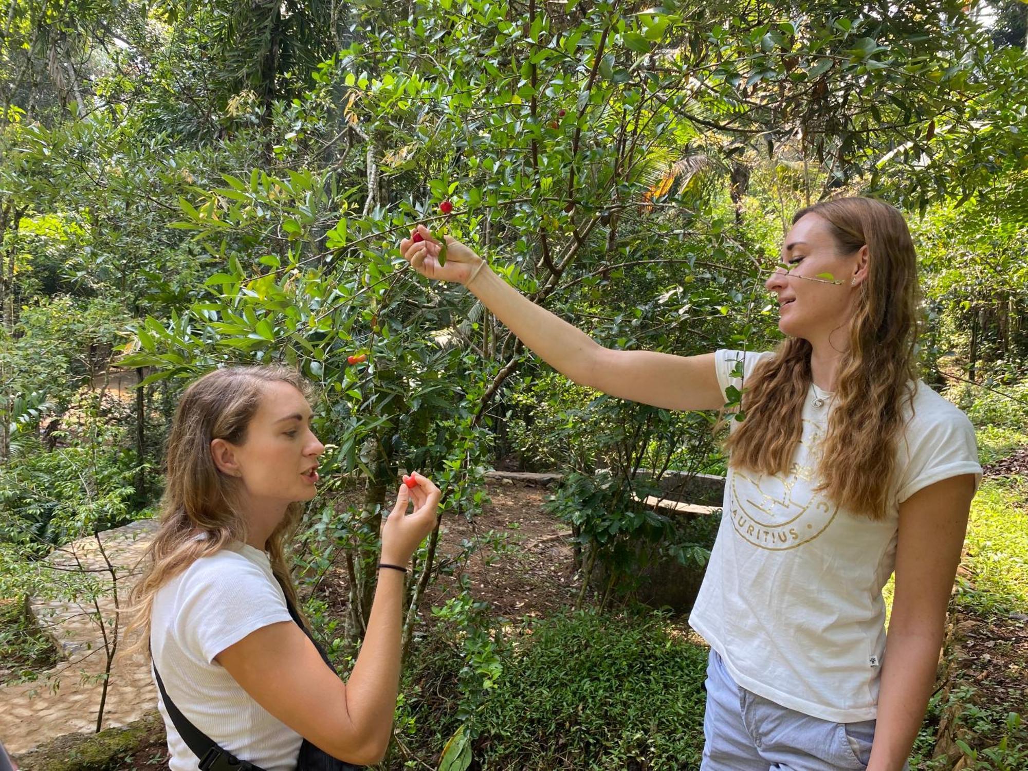 فندق Ella Nine Arch Spice Garden المظهر الخارجي الصورة