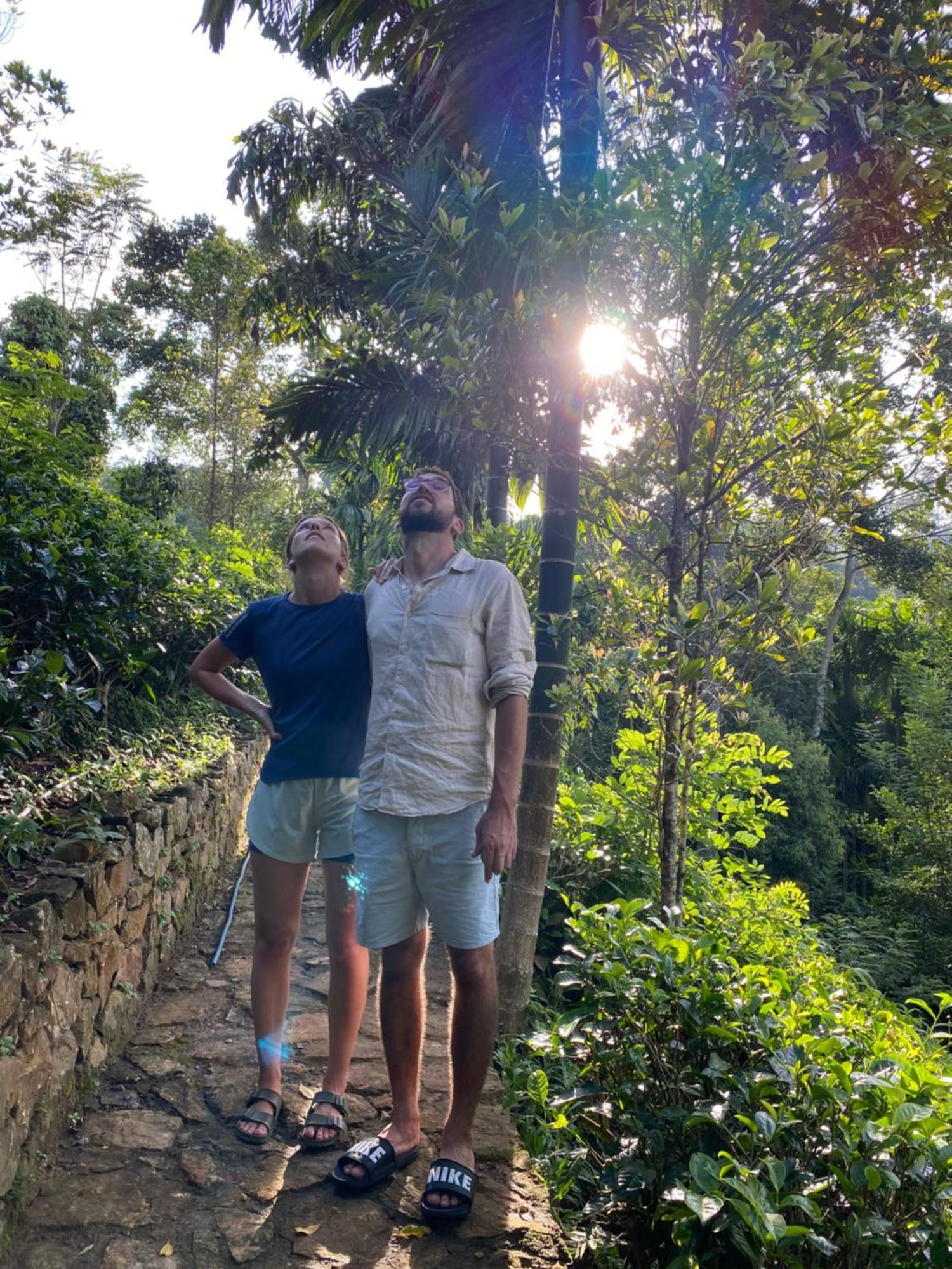 فندق Ella Nine Arch Spice Garden المظهر الخارجي الصورة